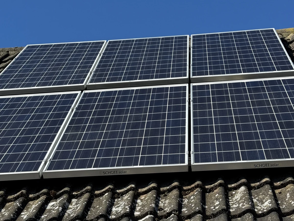 Solar panels restored with professional cleaning and lichen treatment